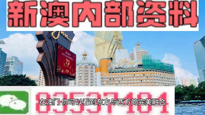新澳今天最新資料解析，新澳今日最新資料深度解析