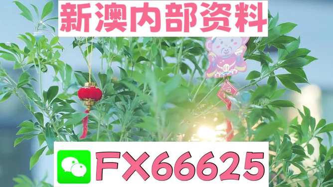 新澳好彩免費(fèi)資料查詢背后的故事，水果奶奶醉八仙，新澳好彩免費(fèi)資料查詢背后的故事，水果奶奶的八仙醉傳奇