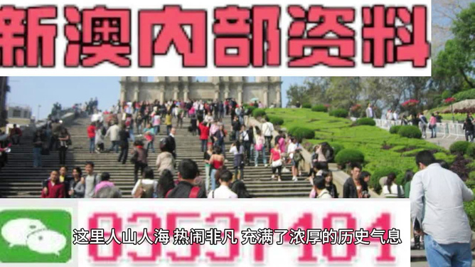 澳門最精準免費資料大全旅游團——探索澳門的絕佳選擇，澳門最精準免費資料大全旅游團，探索澳門的最佳之旅