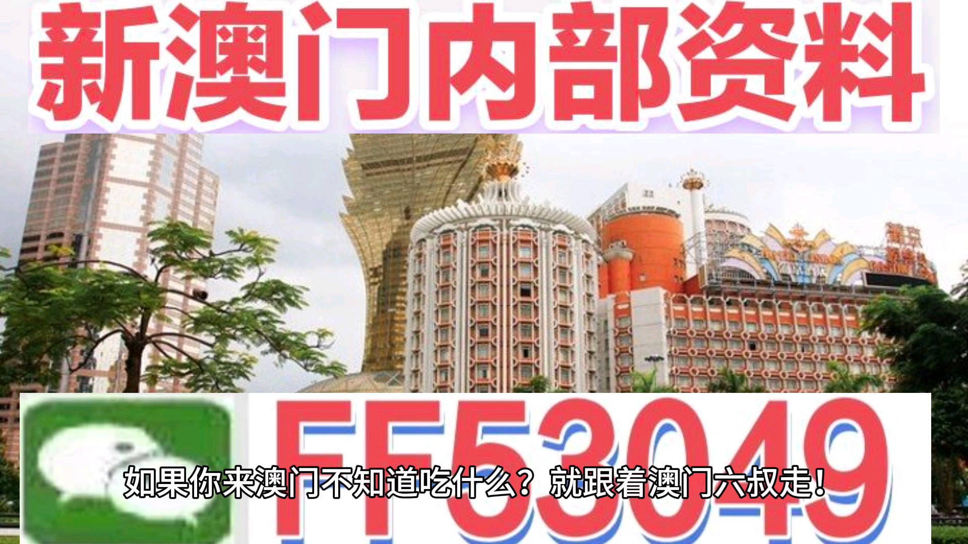 澳門特馬今晚開獎億彩網書肖預測指南（2025版），澳門特馬今晚開獎億彩網書肖預測指南（最新2025版揭秘）