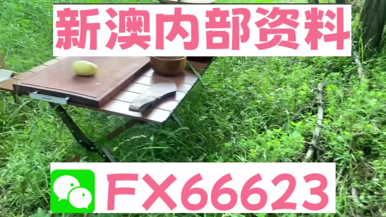 『深度解析』，2025新澳精準(zhǔn)資料大全詳解，深度解析，2025新澳精準(zhǔn)資料大全詳解與指南
