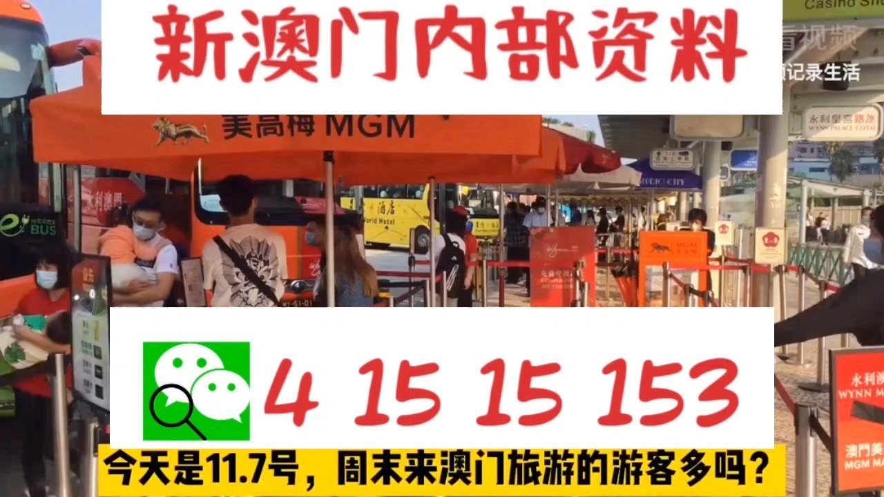 新澳2025年一肖一馬中特，未來(lái)趨勢(shì)與預(yù)測(cè)，新澳未來(lái)趨勢(shì)展望，2025年一肖一馬中特的預(yù)測(cè)與發(fā)展