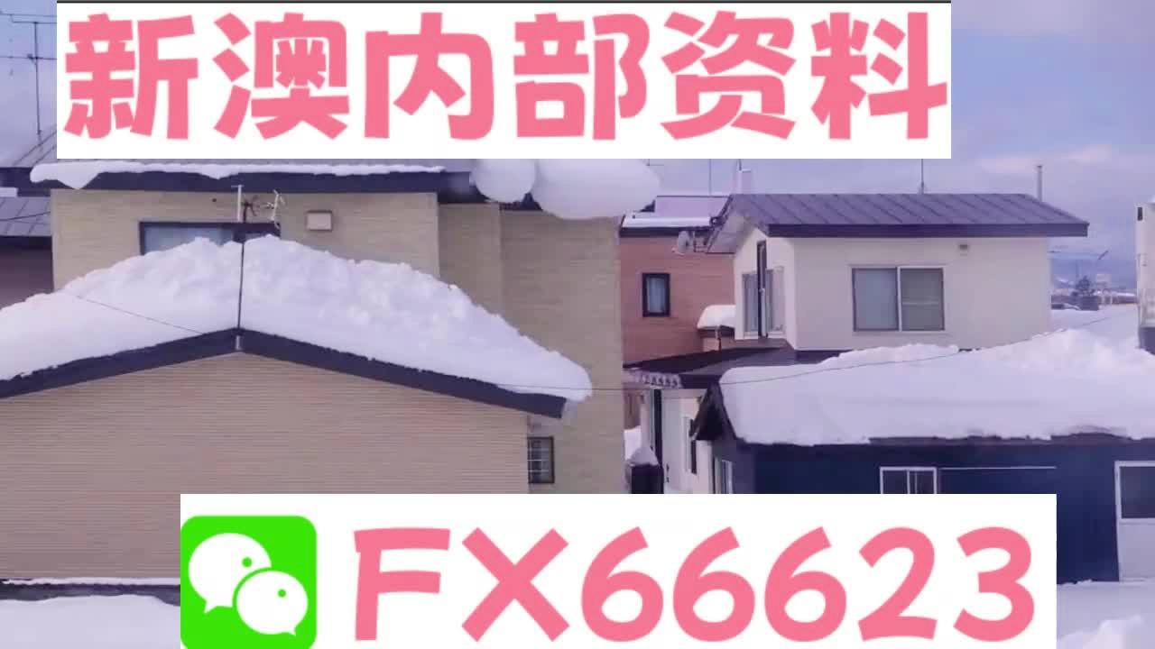 『深度解析』，2025新澳精準資料大全詳解，深度解析，2025新澳精準資料大全詳解與指南