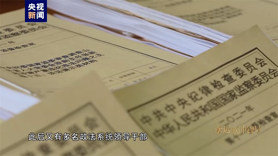 二四六香港資料期期準一，深度解析與洞察，二四六香港資料期期準一，深度解析與獨特洞察