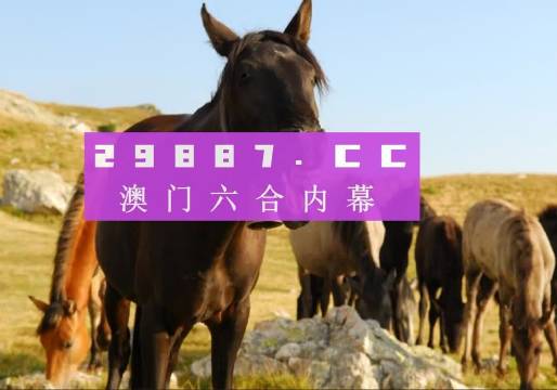 澳門管家婆一肖一碼一特，揭秘背后的秘密與真相，澳門管家婆一肖一碼背后的秘密與真相揭秘