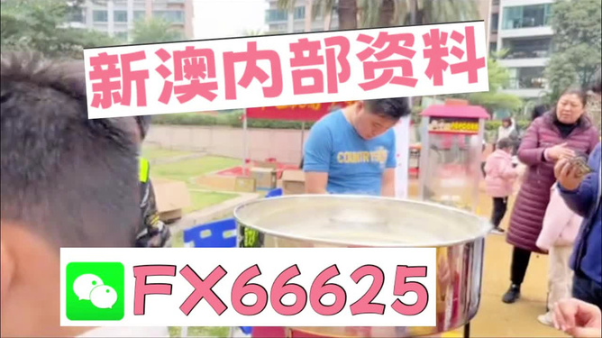 澳門正版免費全年資料大全旅游團，一站式體驗澳門的魅力，澳門魅力之旅，全年正版資料大全與旅游團一站式體驗