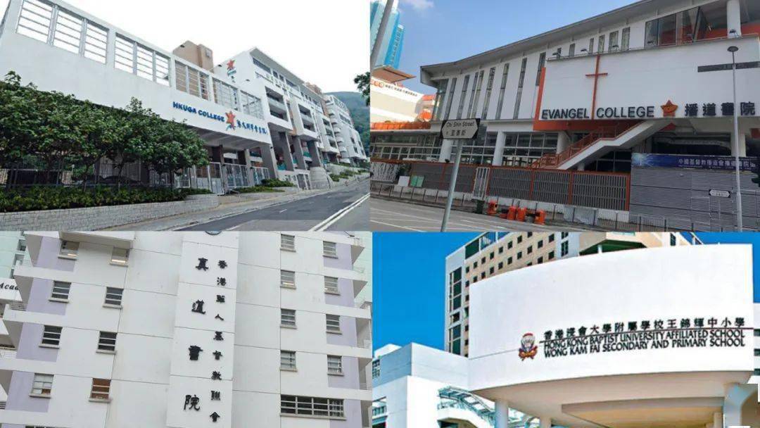 香港免費公開資料大全，一網(wǎng)打盡資源寶藏，香港資源寶藏，免費公開資料一網(wǎng)打盡