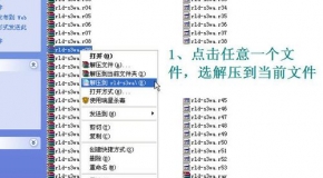 港澳資料大全，探索港澳的無(wú)限魅力，港澳資料大全，探索港澳的無(wú)限魅力與風(fēng)采