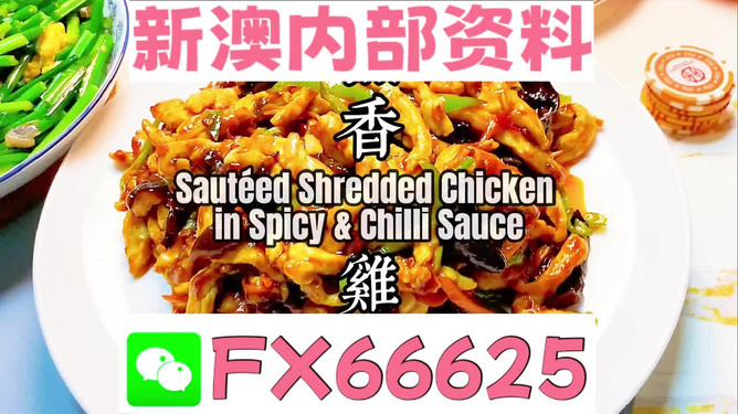 新奧精準(zhǔn)資料免費(fèi)提供，助力個(gè)人與企業(yè)成長，新奧精準(zhǔn)資料免費(fèi)分享，助力個(gè)人與企業(yè)發(fā)展