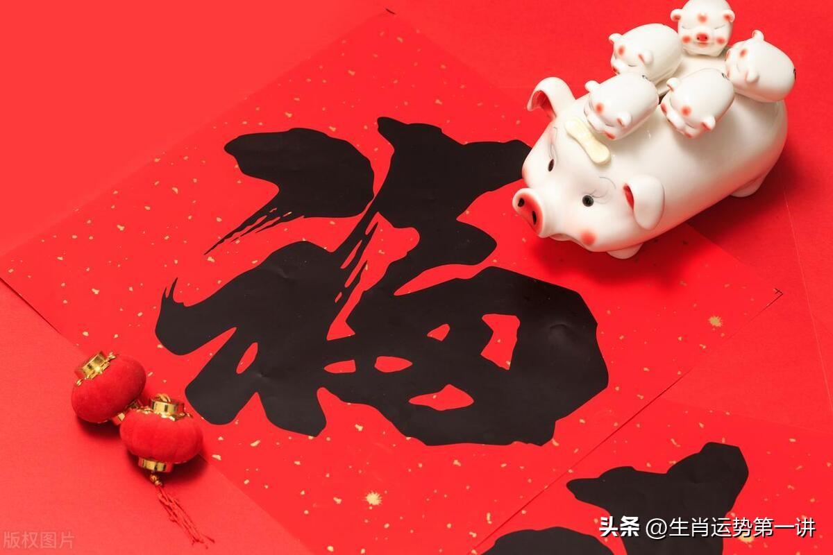 2025年生肖表圖