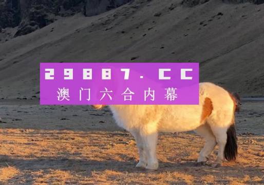 澳門今晚開碼揭秘，多彩開獎背后的故事，澳門多彩開獎背后的秘密，今晚開碼揭秘