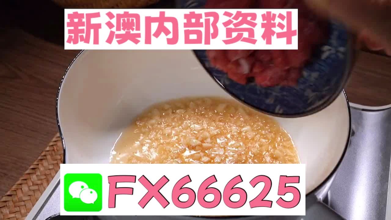 新澳門資料大全正版資料免費下載，家野中特深度解析，澳門正版資料免費下載，家野中特深度解析與最新資訊