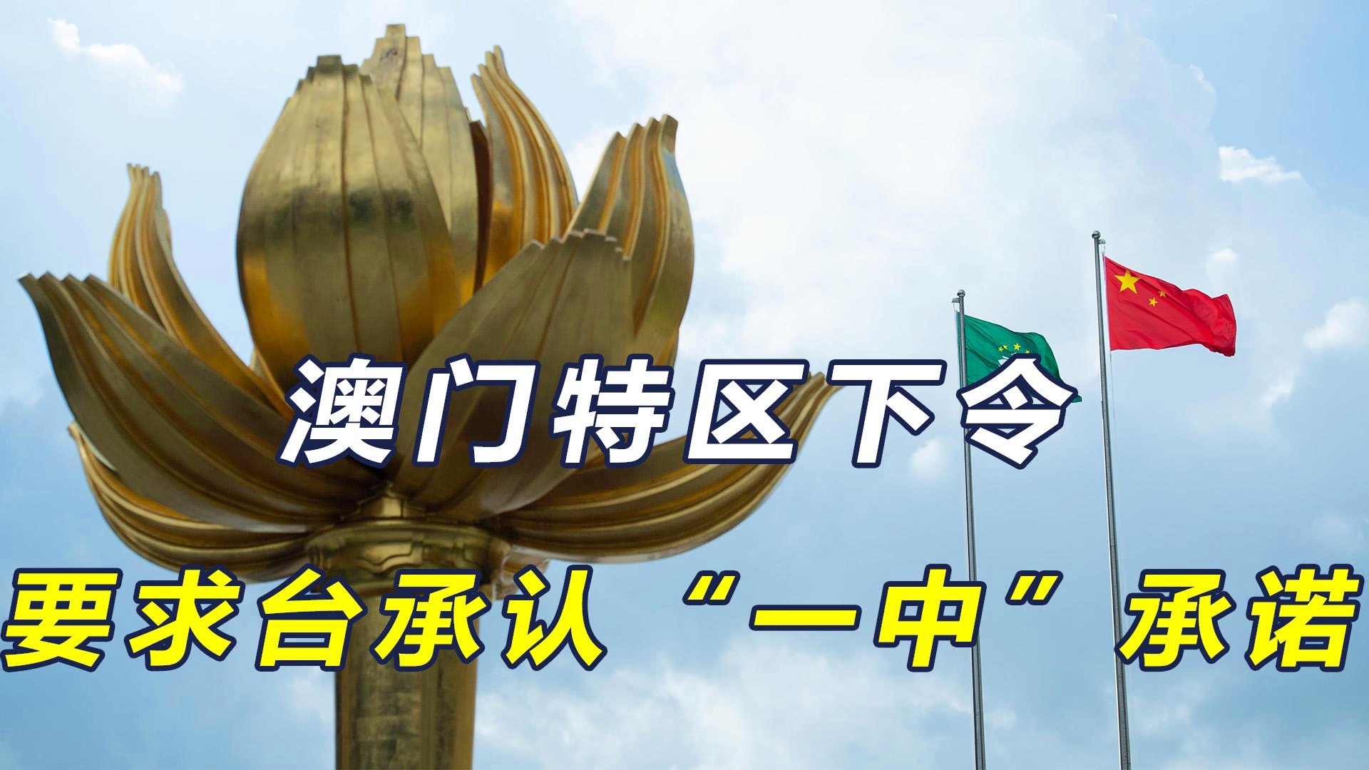 澳門一碼一肖一特一中管家，揭秘神秘面紗下的全方位服務(wù)，澳門一碼一肖一特一中管家，全方位服務(wù)的神秘面紗揭秘
