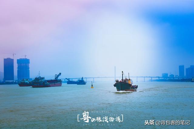 新澳門全年免費(fèi)料新澳，探索與體驗(yàn)，新澳門全年免費(fèi)料新澳，探索與體驗(yàn)之旅