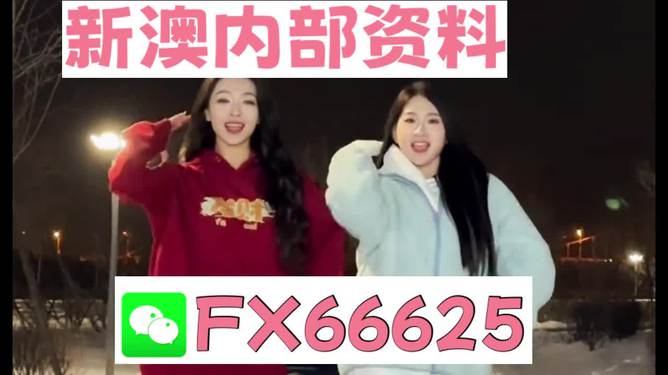 新澳門一肖一特一中，文化、發(fā)展與未來展望