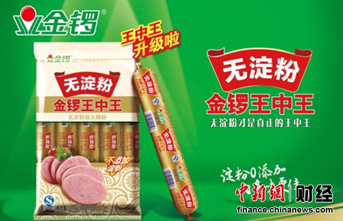 王中王資料大全解析，王中王資料大全深度解析