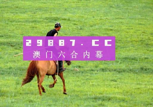 澳門49圖正版開獎，揭秘彩票背后的故事，澳門彩票背后的故事揭秘，49圖正版開獎探秘