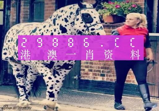 澳門王中王一肖一特一中大揭秘，澳門王中王，一肖一特一中神秘揭秘